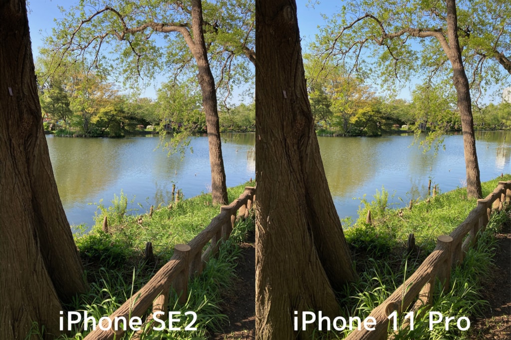 新型iPhone SE（第2世代）とiPhone 11 Proで撮影した写真