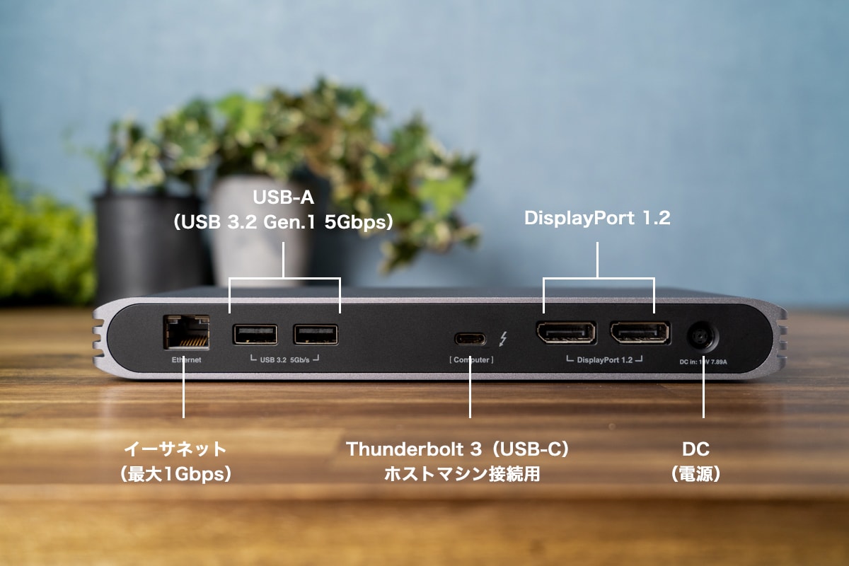 CalDigit USB-C Pro Dockの背面ポート